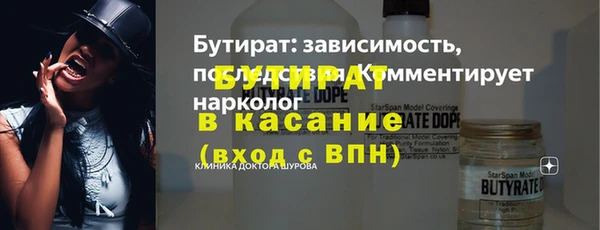 крисы Бородино