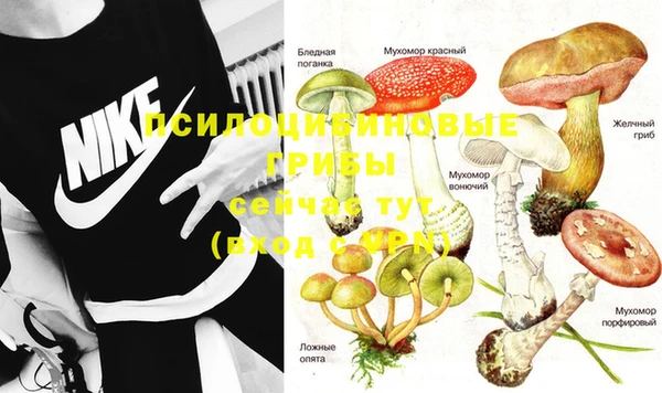 MDMA Богородицк