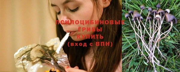 молекула духа Белокуриха