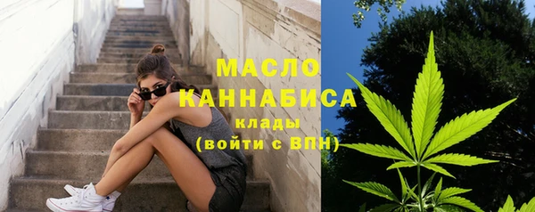 крисы Бородино