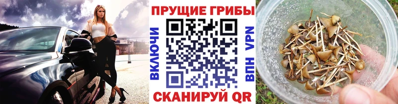 Псилоцибиновые грибы прущие грибы Балабаново